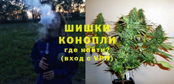 дмт Арсеньев